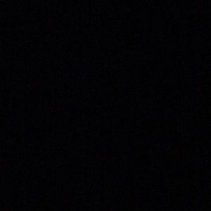 Meet your Posher, Noah